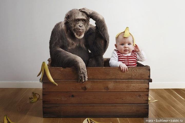 Смешные фотографии малышки (фото 8)