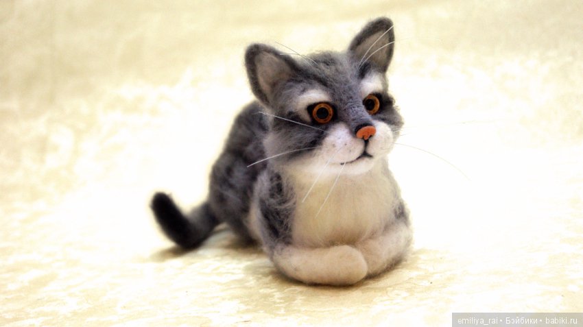 Котик Толик. Сухое валяние