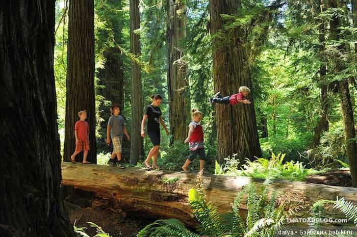 «Летающий» ребенок — Дети: красивые фото