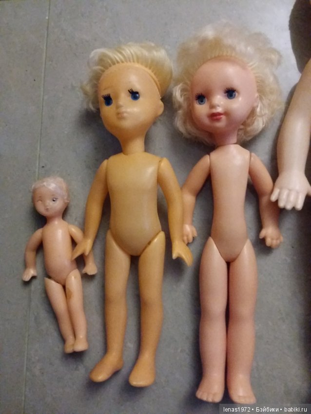 Помогите опознать куколок