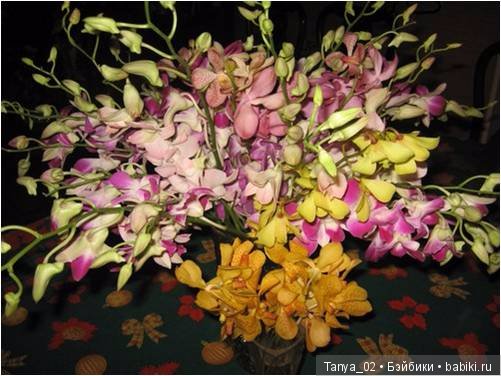 С наступающим днём женщин