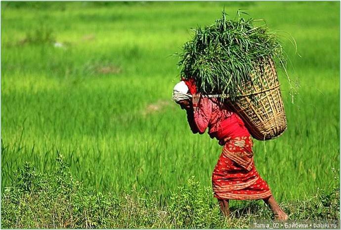 С наступающим днём женщин