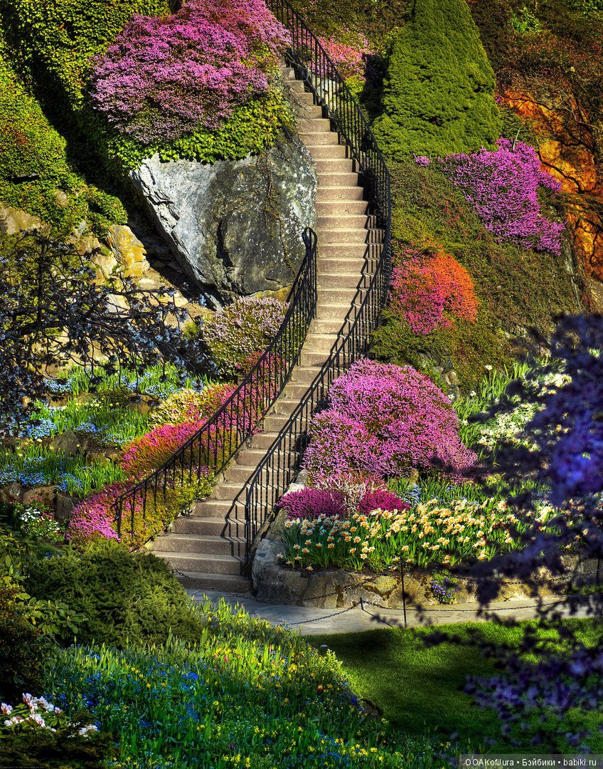 8 марта - пора скидок — Покупки