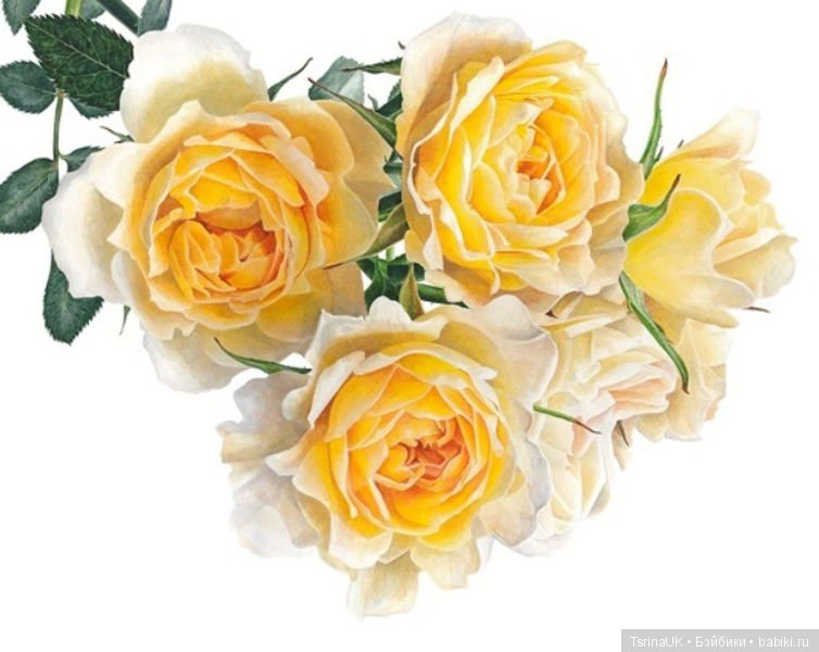 Волшебные ботанические иллюстрации — Anna Mason