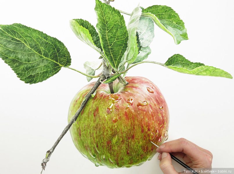 Волшебные ботанические иллюстрации — Anna Mason