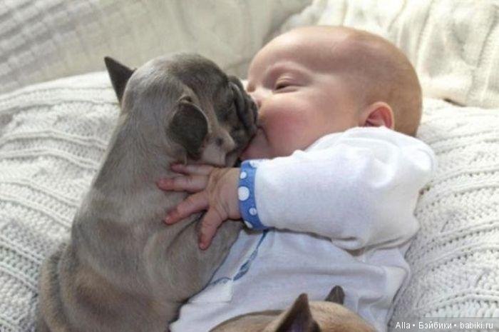 Малыш и щенки — Дети: красивые фото (фото 3)