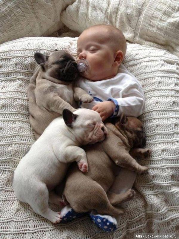 Малыш и щенки — Дети: красивые фото