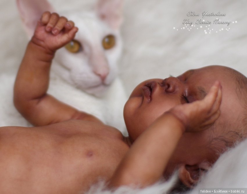 Мой полярный мишка, мулаточка Коко