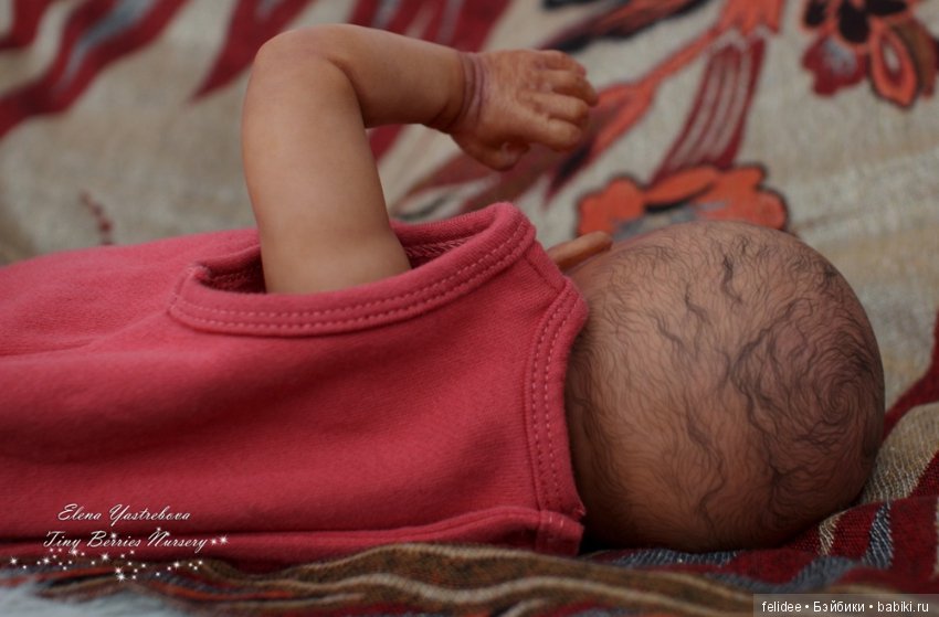 Мой полярный мишка, мулаточка Коко