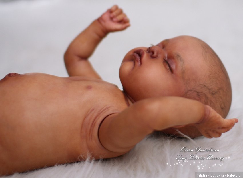 Мой полярный мишка, мулаточка Коко