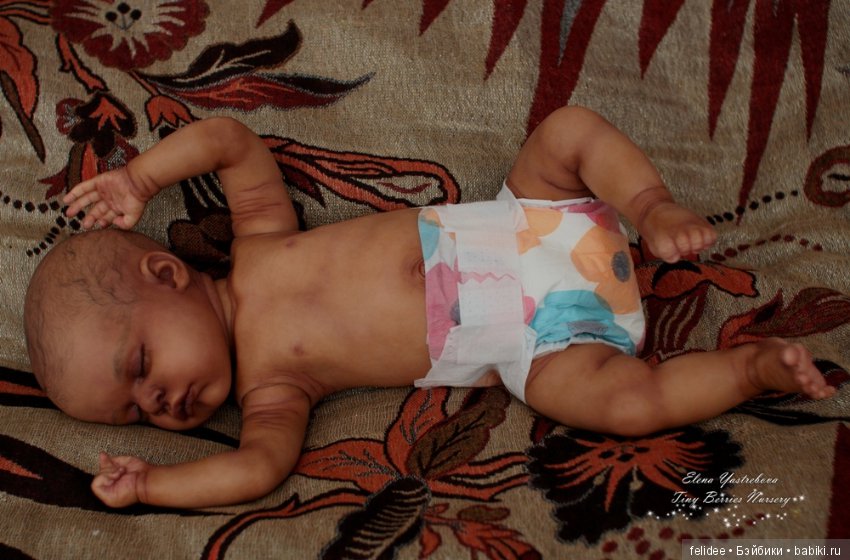 Мой полярный мишка, мулаточка Коко