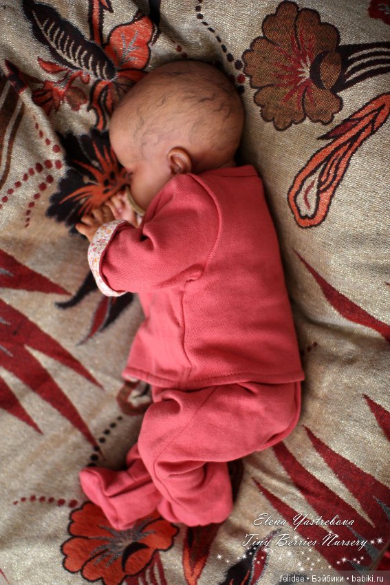 Мой полярный мишка, мулаточка Коко