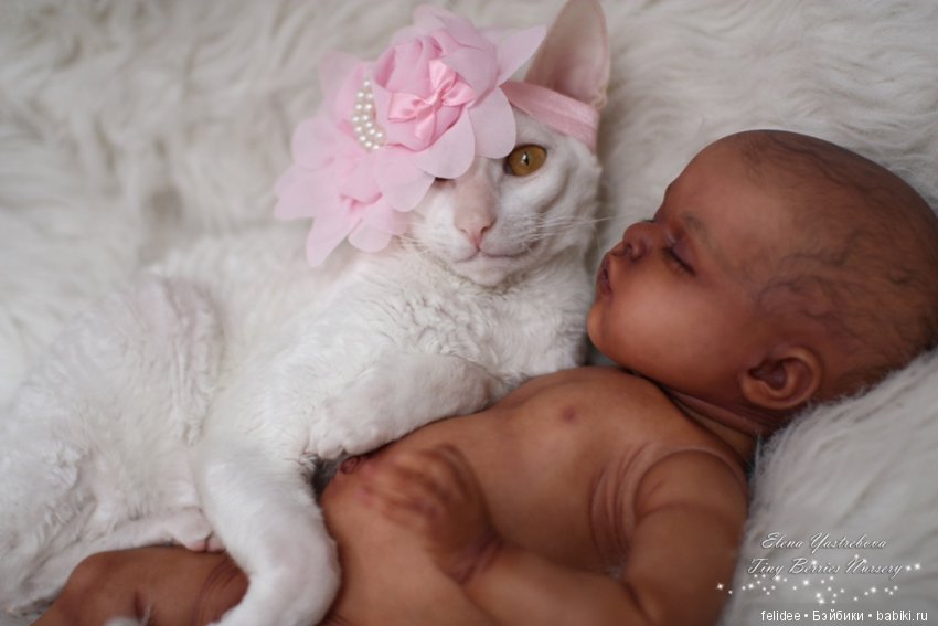 Мой полярный мишка, мулаточка Коко