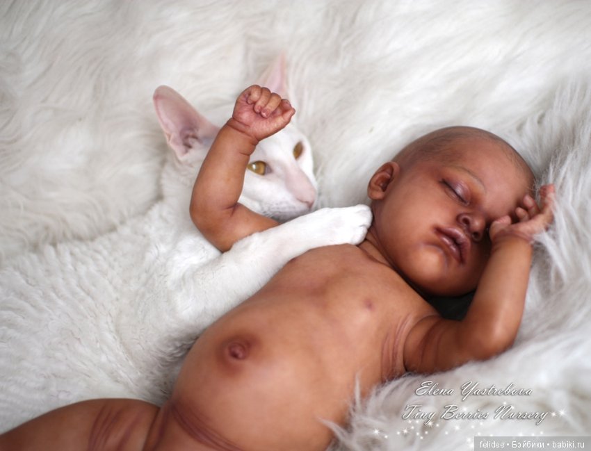 Мой полярный мишка, мулаточка Коко