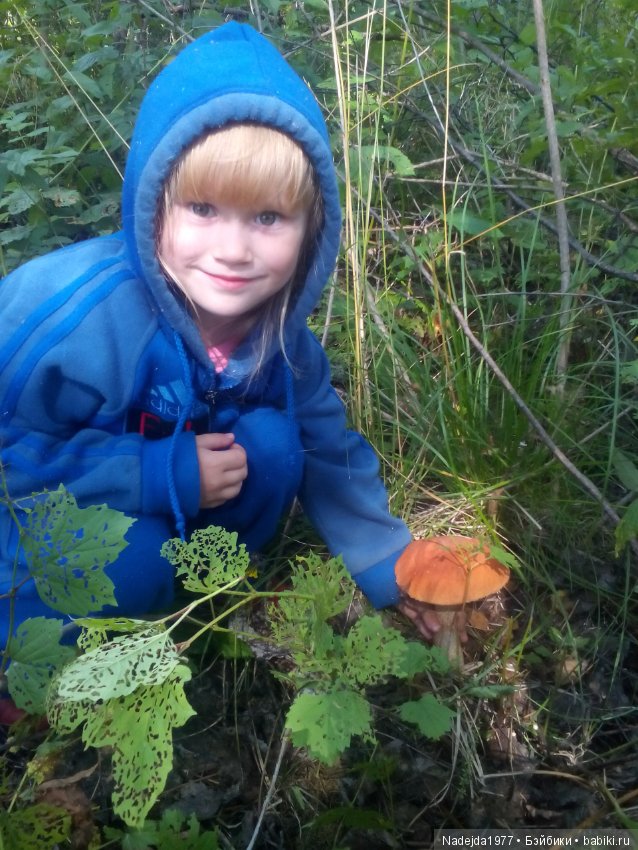 Летние воспоминания — Красивая природа и цветы: фото пейзажей (фото 4)