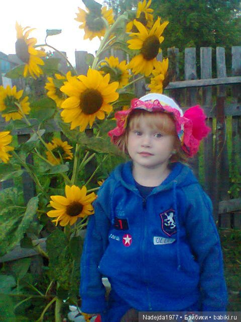 Летние воспоминания — Красивая природа и цветы: фото пейзажей