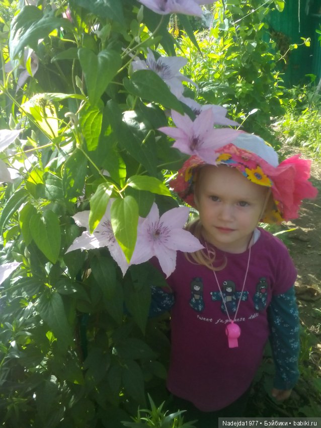 Летние воспоминания — Красивая природа и цветы: фото пейзажей