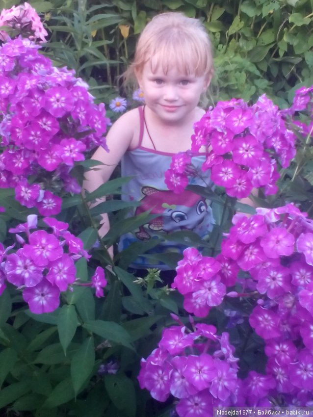 Летние воспоминания — Красивая природа и цветы: фото пейзажей