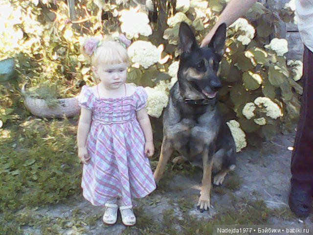 Летние воспоминания — Красивая природа и цветы: фото пейзажей