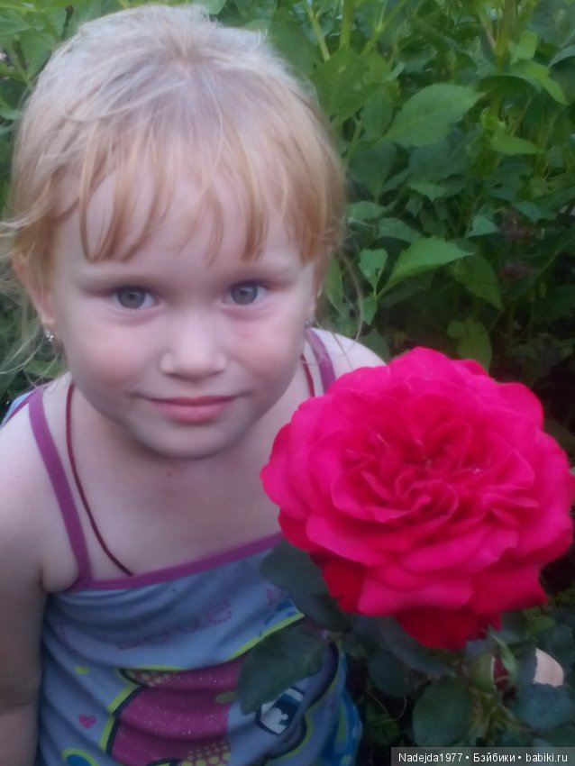 Летние воспоминания — Красивая природа и цветы: фото пейзажей