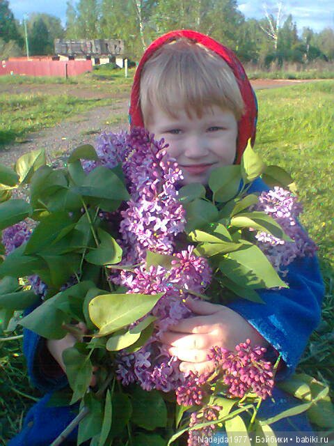 Летние воспоминания — Красивая природа и цветы: фото пейзажей