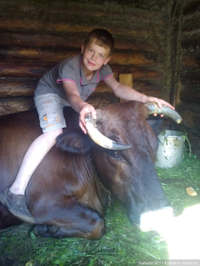 Летние воспоминания — Красивая природа и цветы: фото пейзажей (фото 10)