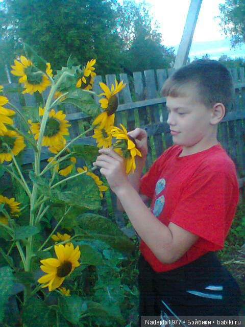 Летние воспоминания — Красивая природа и цветы: фото пейзажей