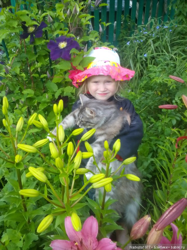 Летние воспоминания — Красивая природа и цветы: фото пейзажей