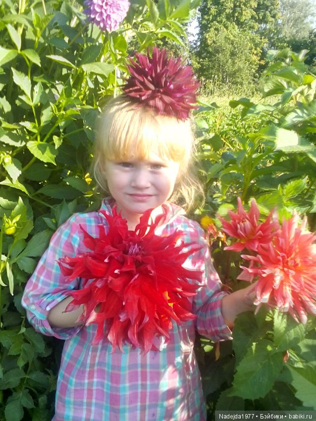 Летние воспоминания — Красивая природа и цветы: фото пейзажей