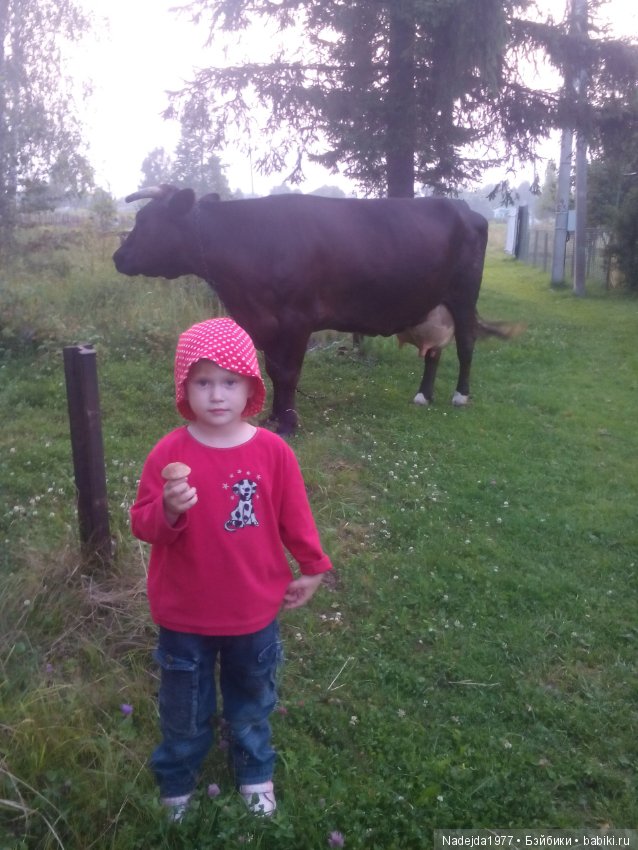 Летние воспоминания — Красивая природа и цветы: фото пейзажей (фото 7)