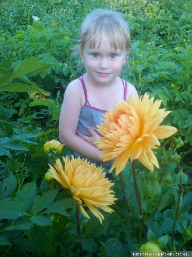 Летние воспоминания — Красивая природа и цветы: фото пейзажей