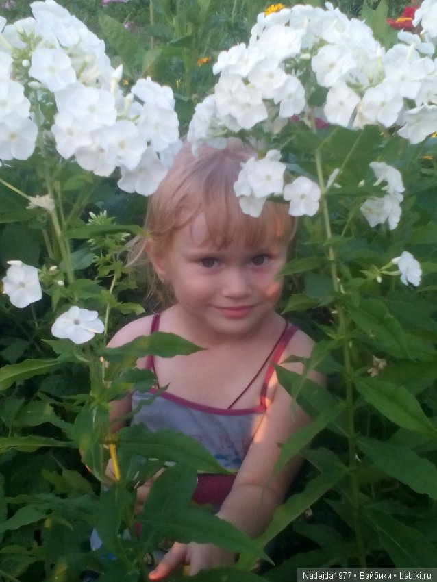 Летние воспоминания — Красивая природа и цветы: фото пейзажей