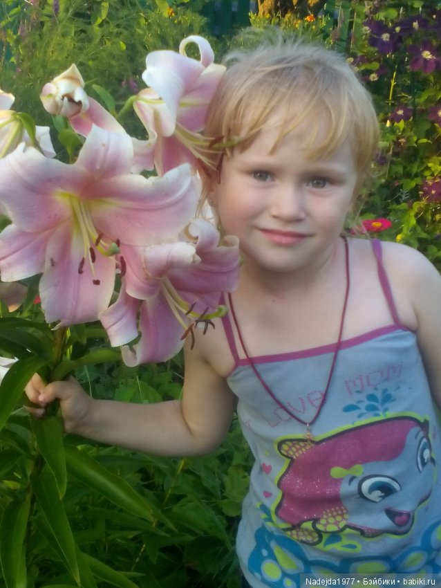 Летние воспоминания — Красивая природа и цветы: фото пейзажей