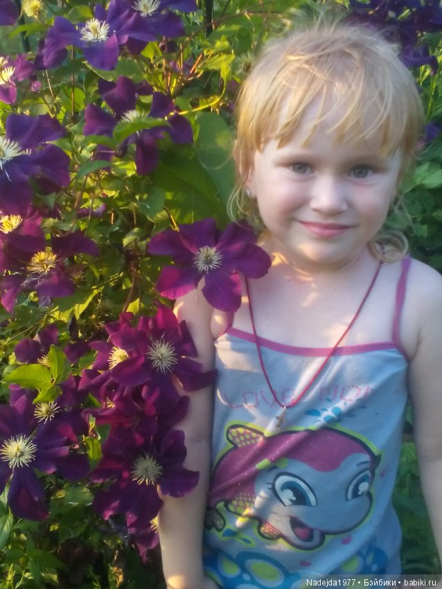 Летние воспоминания — Красивая природа и цветы: фото пейзажей