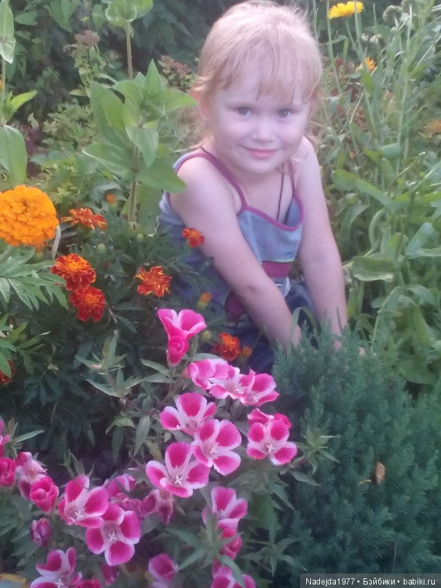 Летние воспоминания — Красивая природа и цветы: фото пейзажей