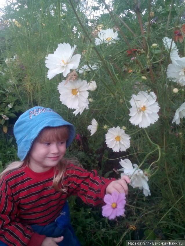 Летние воспоминания — Красивая природа и цветы: фото пейзажей