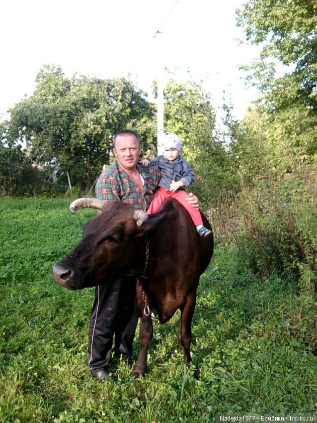 Летние воспоминания — Красивая природа и цветы: фото пейзажей