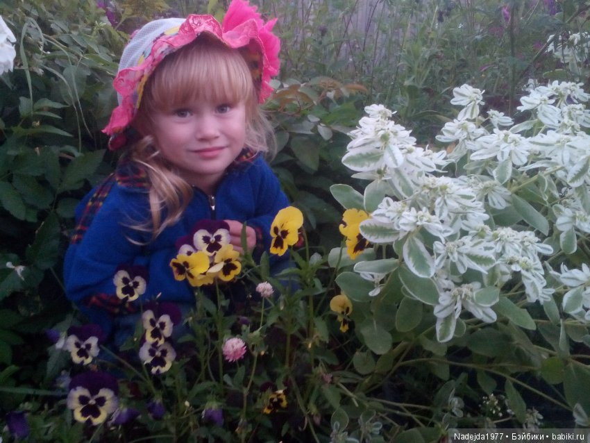 Летние воспоминания — Красивая природа и цветы: фото пейзажей