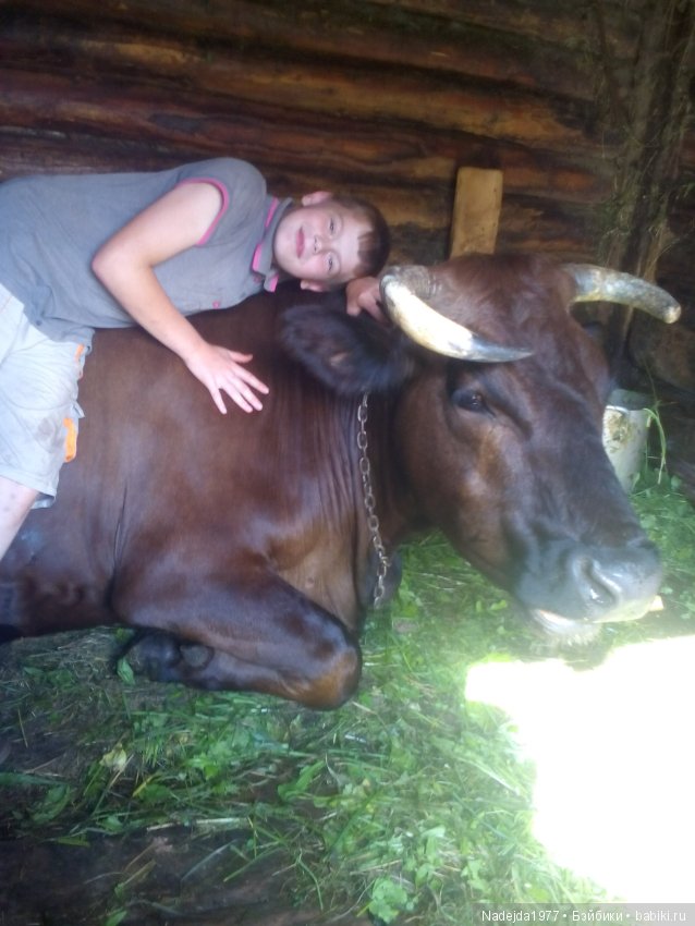 Летние воспоминания — Красивая природа и цветы: фото пейзажей (фото 9)