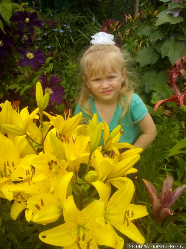 Летние воспоминания — Красивая природа и цветы: фото пейзажей