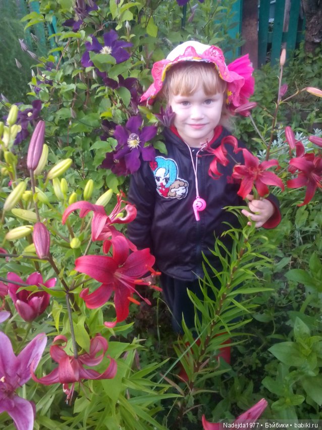 Летние воспоминания — Красивая природа и цветы: фото пейзажей