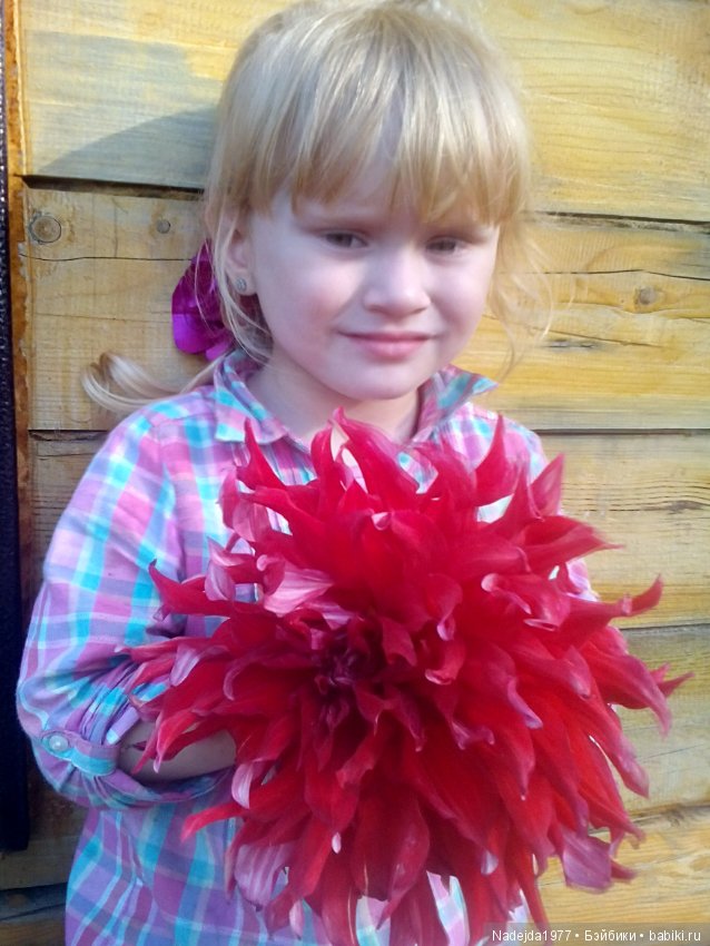 Летние воспоминания — Красивая природа и цветы: фото пейзажей