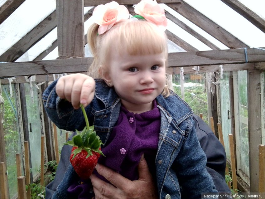 Летние воспоминания — Красивая природа и цветы: фото пейзажей