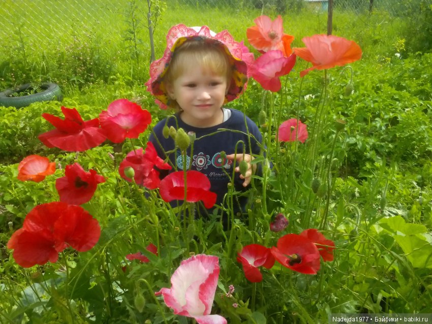 Летние воспоминания — Красивая природа и цветы: фото пейзажей