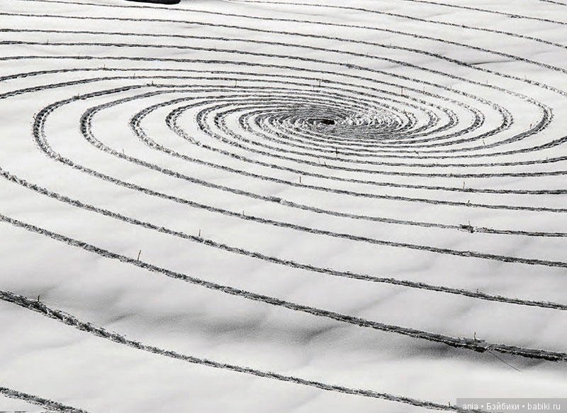 Творчество на снегу — Интересное и необычное: фотоподборки (фото 7)