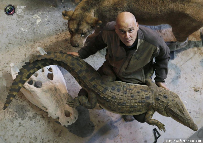 Скульптор-анималист из Бельгии