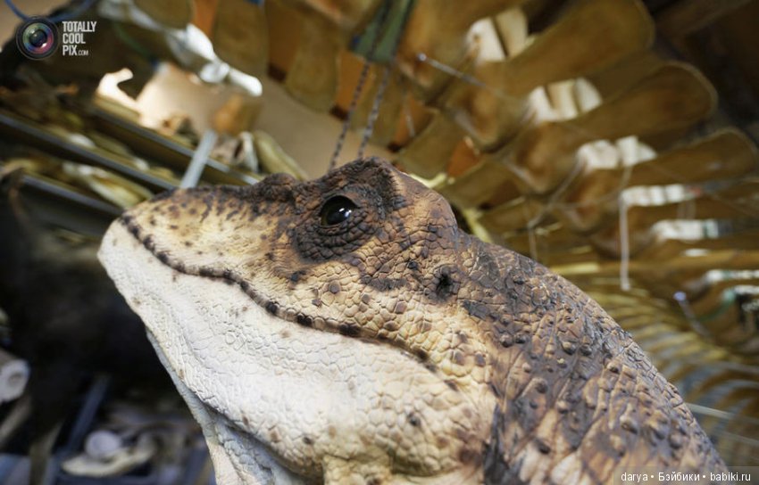 Скульптор-анималист из Бельгии