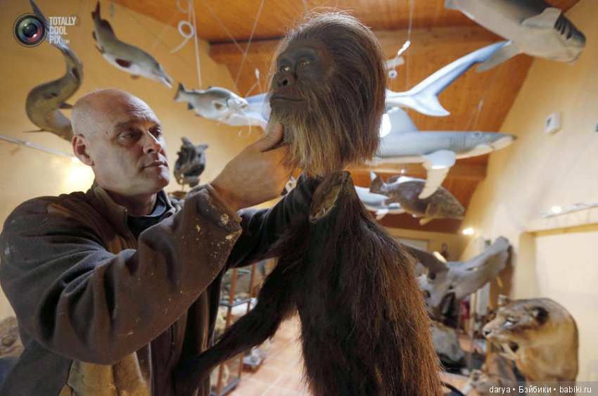 Скульптор-анималист из Бельгии (фото 5)