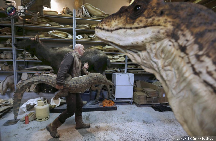 Скульптор-анималист из Бельгии (фото 6)