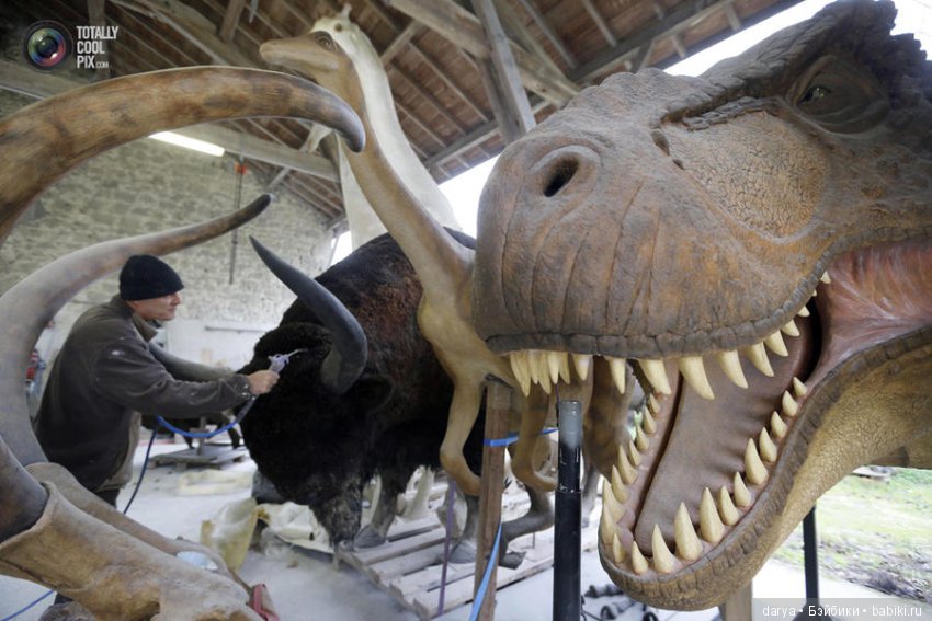 Скульптор-анималист из Бельгии (фото 4)